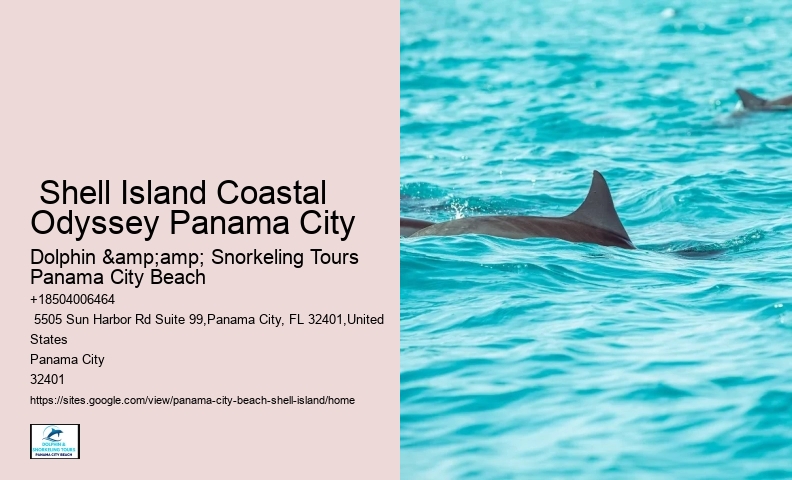  Panama City Shelling Adventures