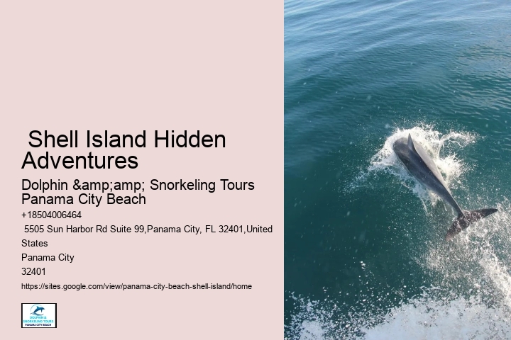  Panama City Beach Snorkeling Tours