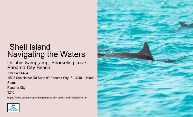  Shell Island Natural Habitat Tours