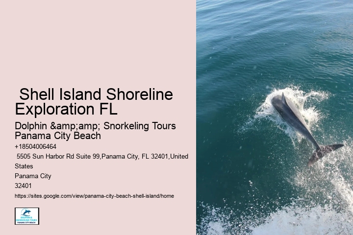  Shell Island Tours