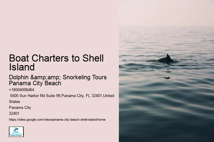  What Shells Can You Not Take From Florida