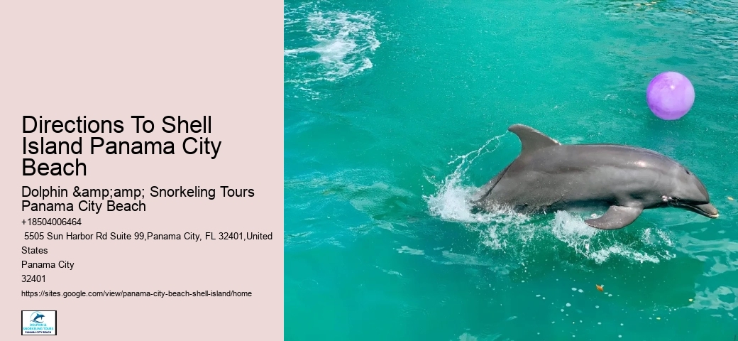  Shell Island Aquatic Bliss Tours FL