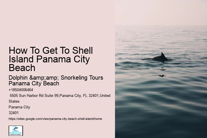  Shell Island And Neighboring St.