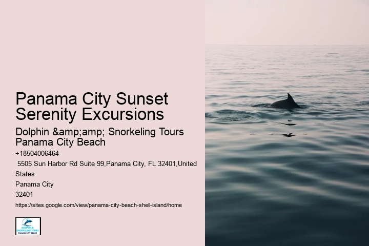  Shell Island Scenic Coastal Excursions