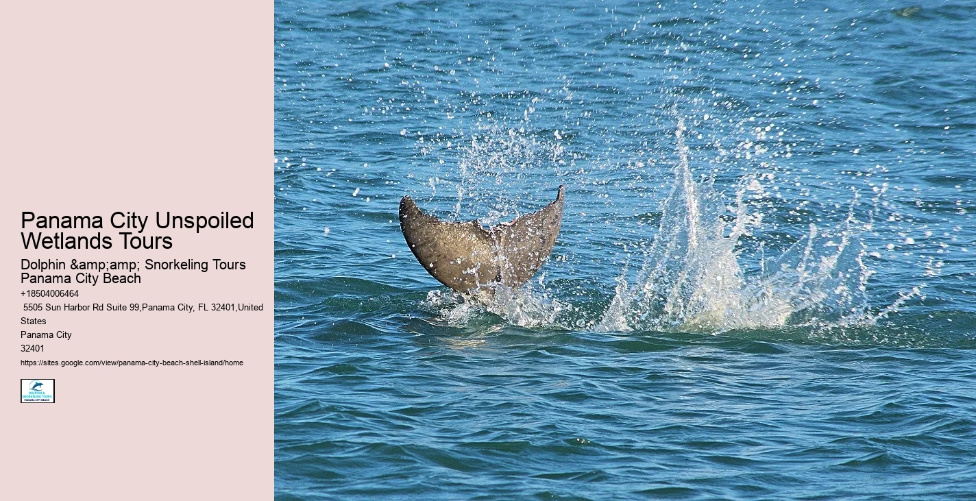  What Is Special About Shell Island