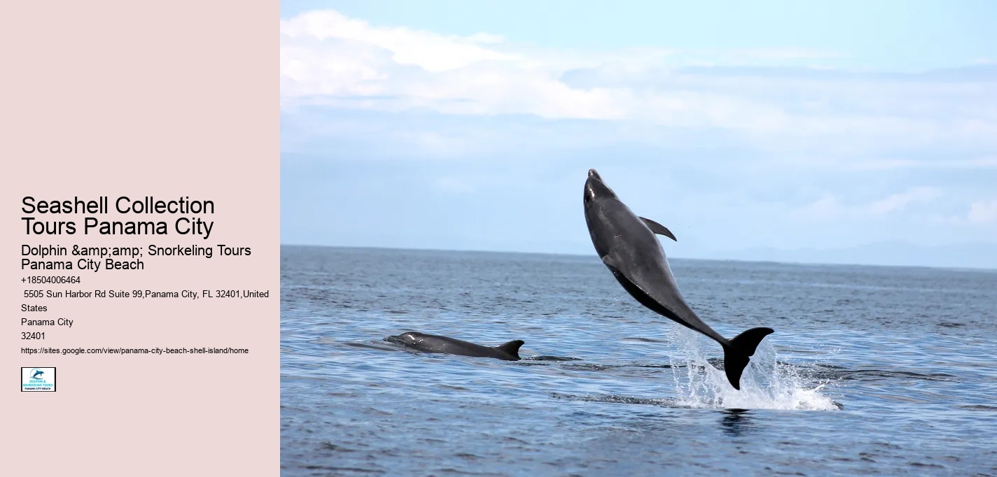  Panama City Watercraft Discovery Tours