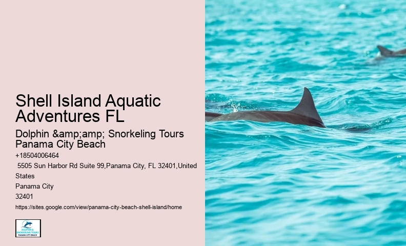  Where To Go Snorkeling Near Shell Island