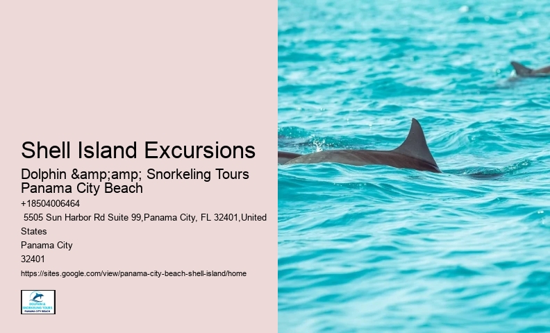 Shell Island Excursions