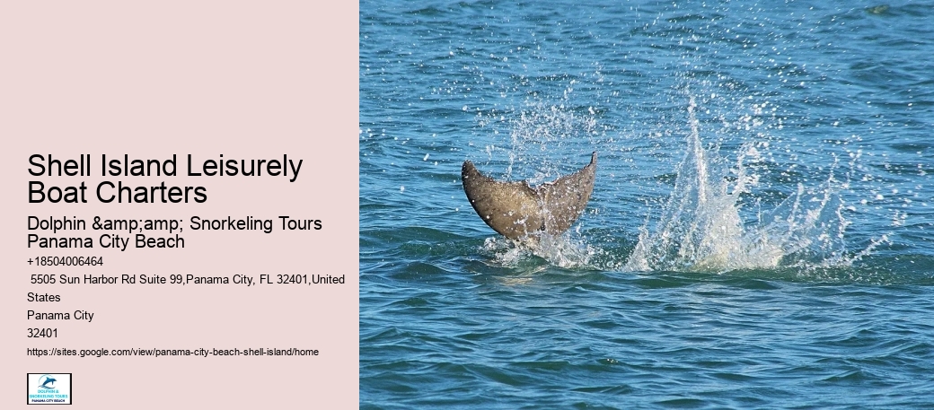  Coastal Tranquility Panama City Beach Tours