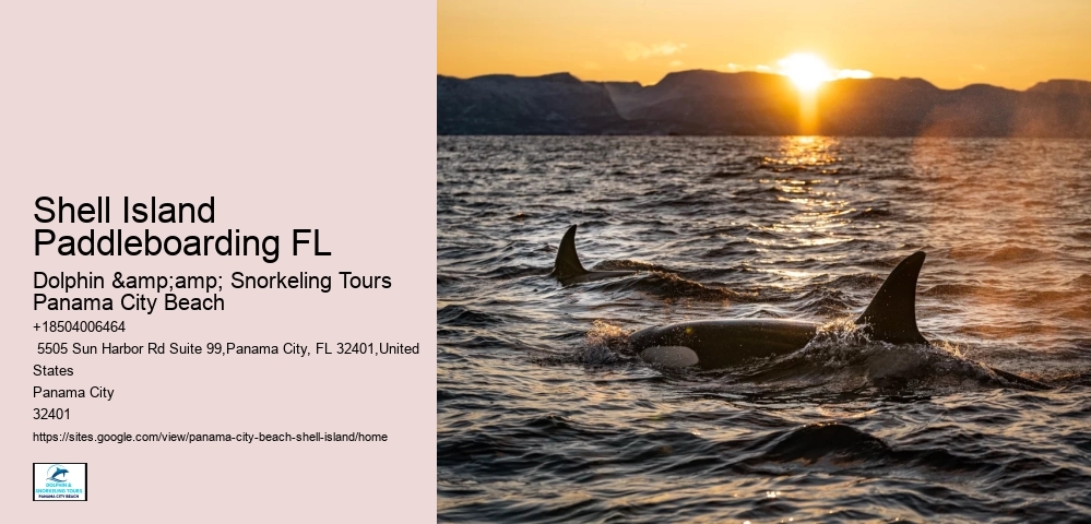  Panama City Coastal Paradise Excursions