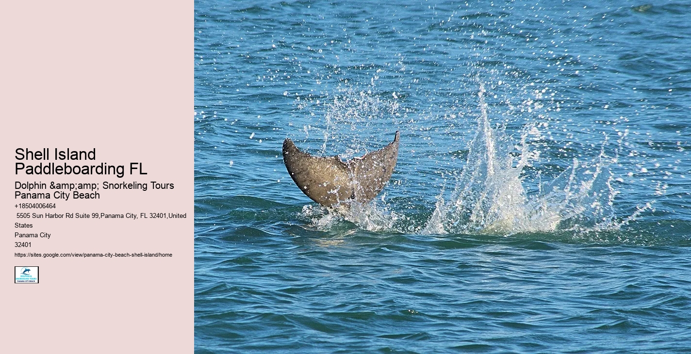  Panama City Dolphin