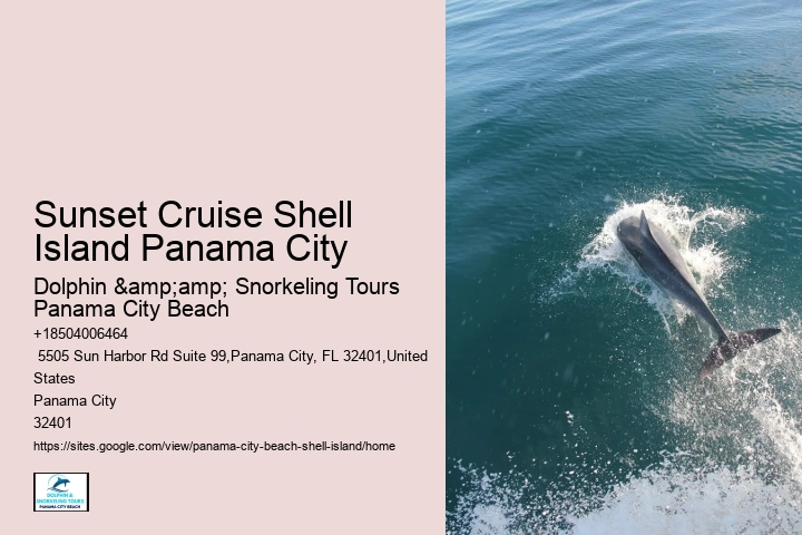  Hour Shell Island