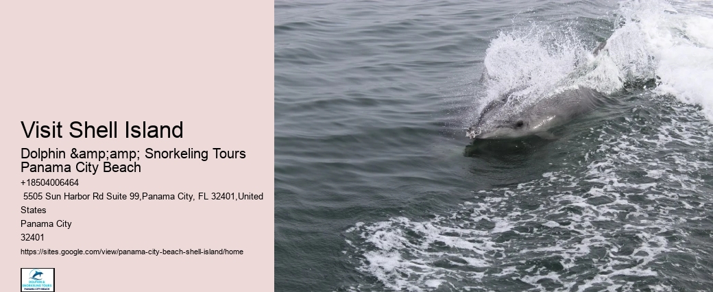  Panama City Serene Seashore Excursions