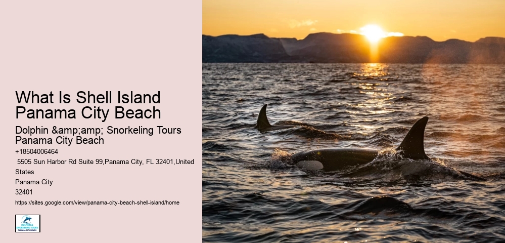  Shell Island Florida