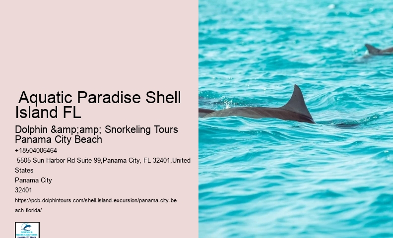  Is Shell Island Worth The Trip