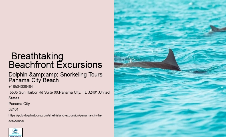 Leave Seashells On The Seashore Or Risk Damaging Ecosystem