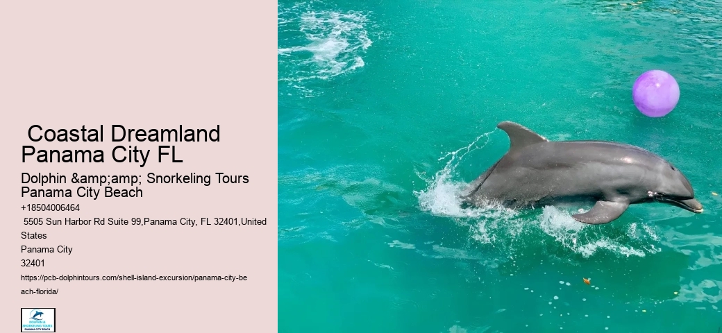  Dolphin Watching