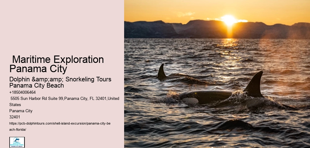  Shell Island Preservation Tours