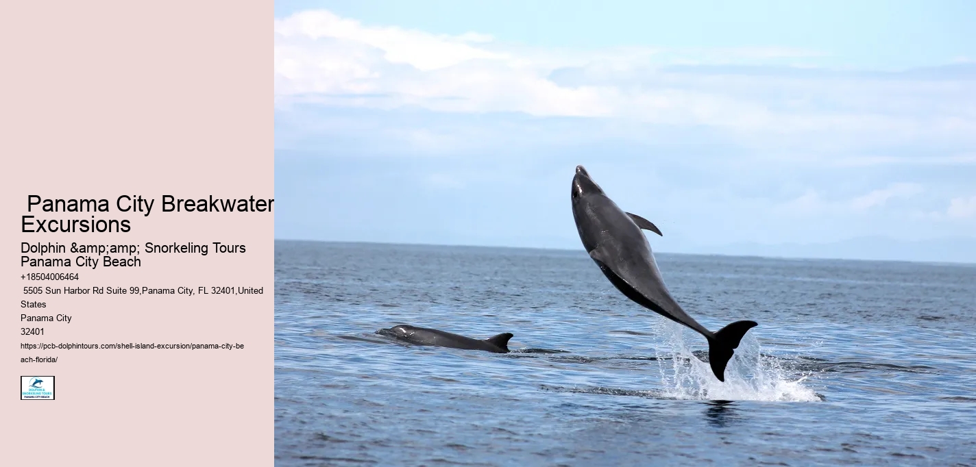  Shell Island Dolphin