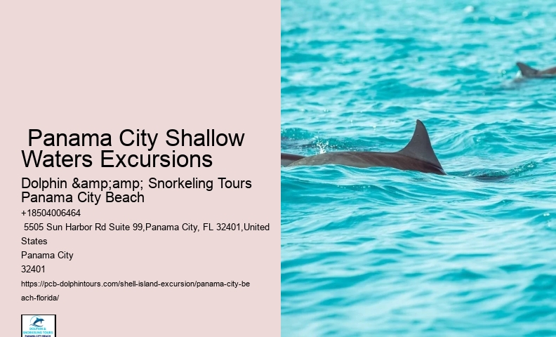  Shell Island Coastal Habitat Exploration
