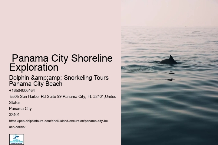 Where Does The Shell Island Shuttle Drop You Off