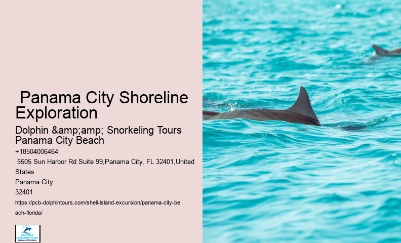  Shell Island Trips & Dolphin Tours