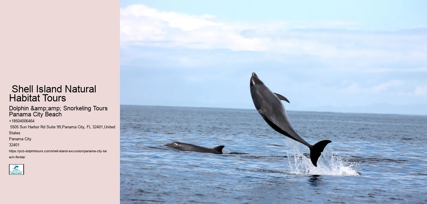  Bottlenose Dolphins