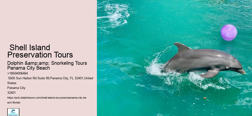  Can You Swim With Dolphins At Panama Beach