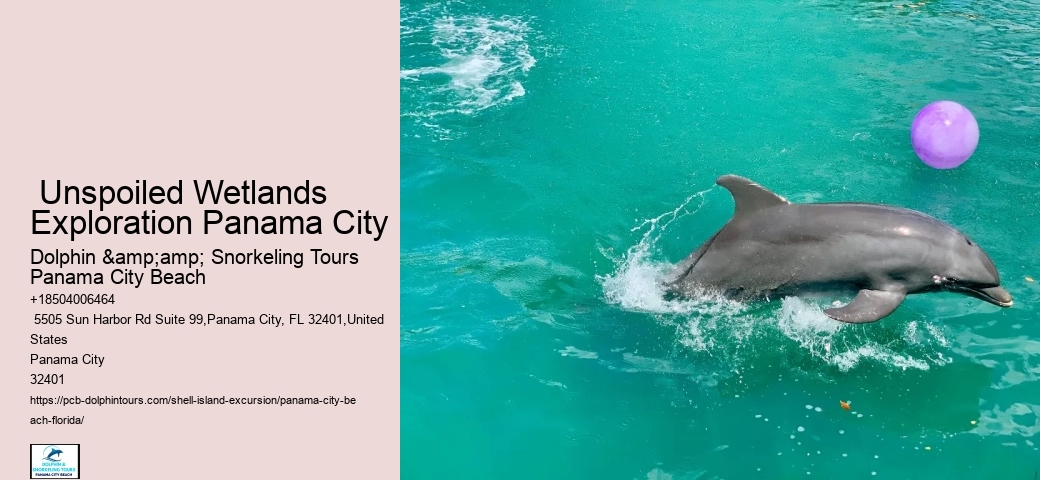  Panama City Pristine Shores Excursions