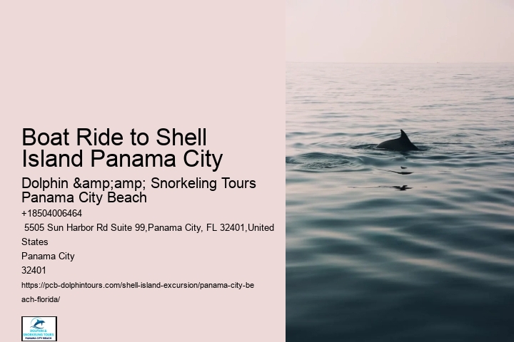  Where Can You Snorkel On Shell Island