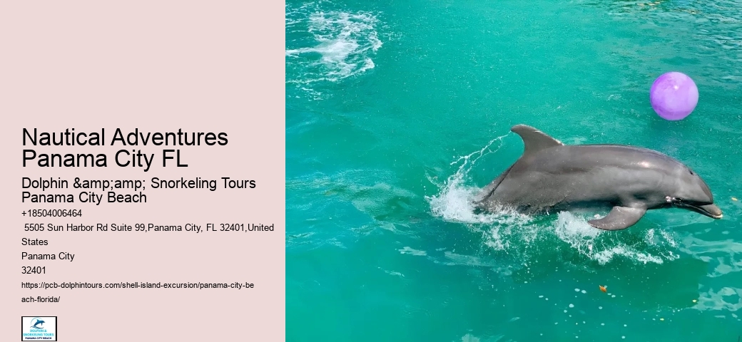  Shell Island Tours Panama City Beach FL