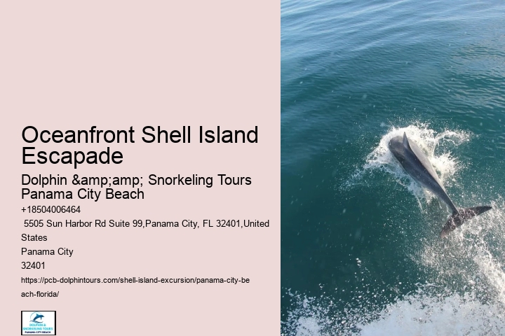  Boat Tours