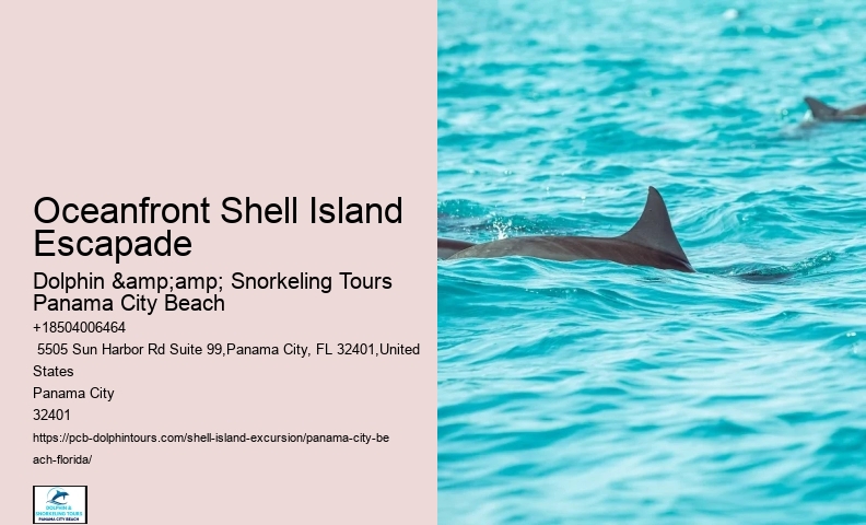  Is It Ok To Take Shells From Florida Beaches