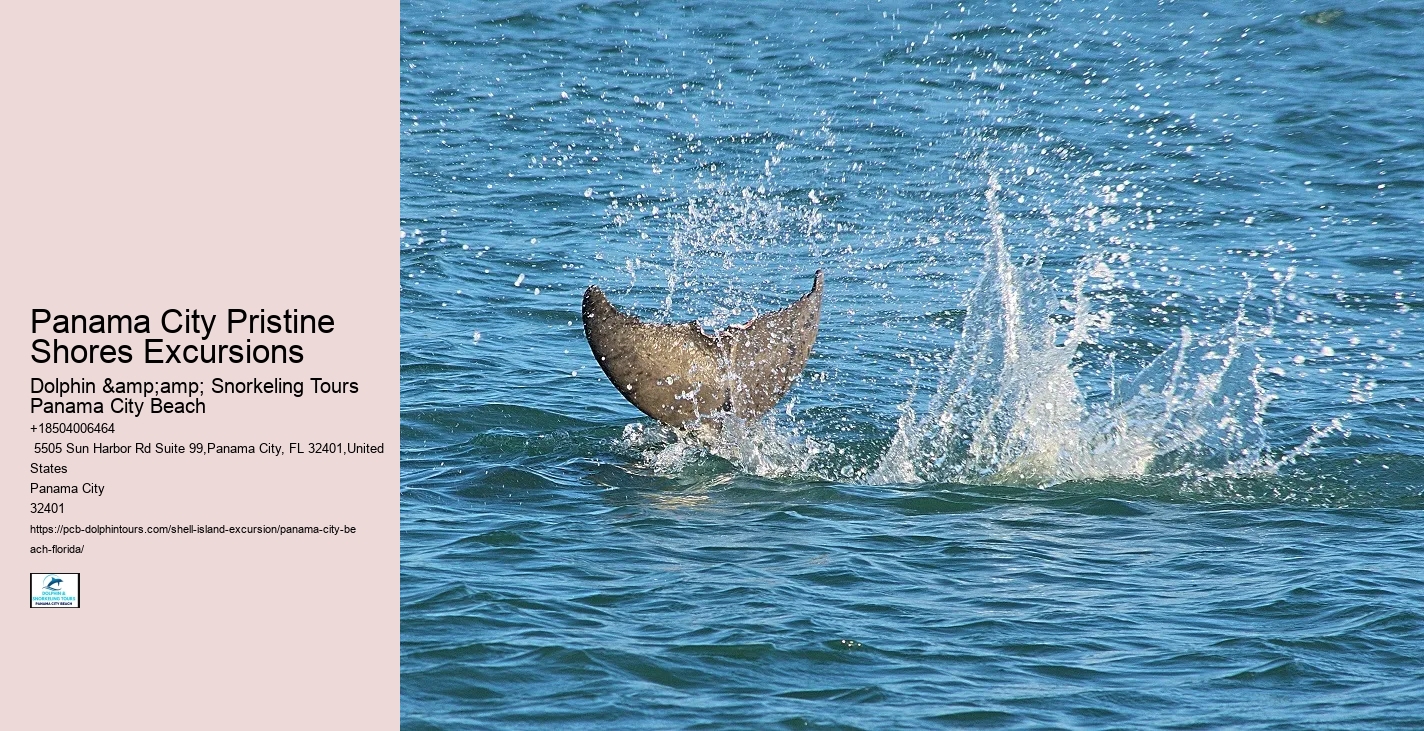  Shell Island Excursions Panama City Beach Florida Dolphin