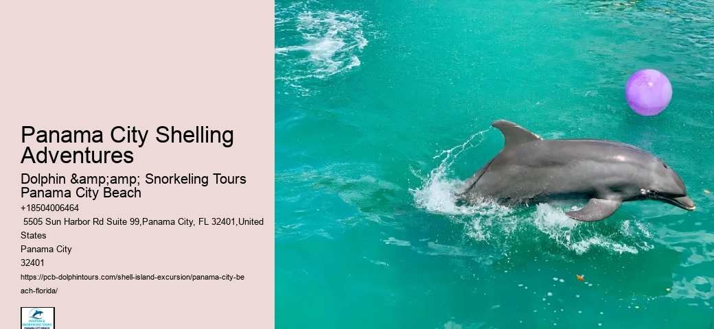  Shell Island Wildlife Tours FL