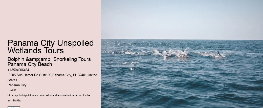  What Is The Best Time To Go Shelling