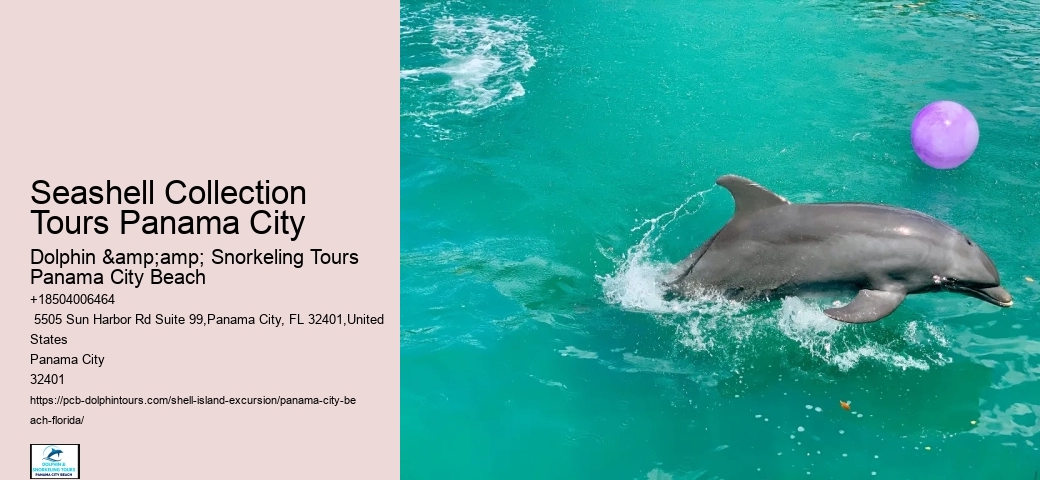  Best Dolphin Tour