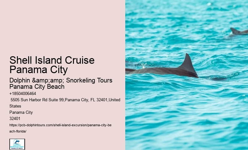  Can You Swim With Dolphins At Panama Beach