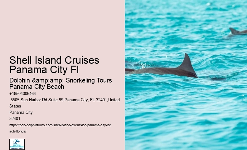  City Beach Dolphin