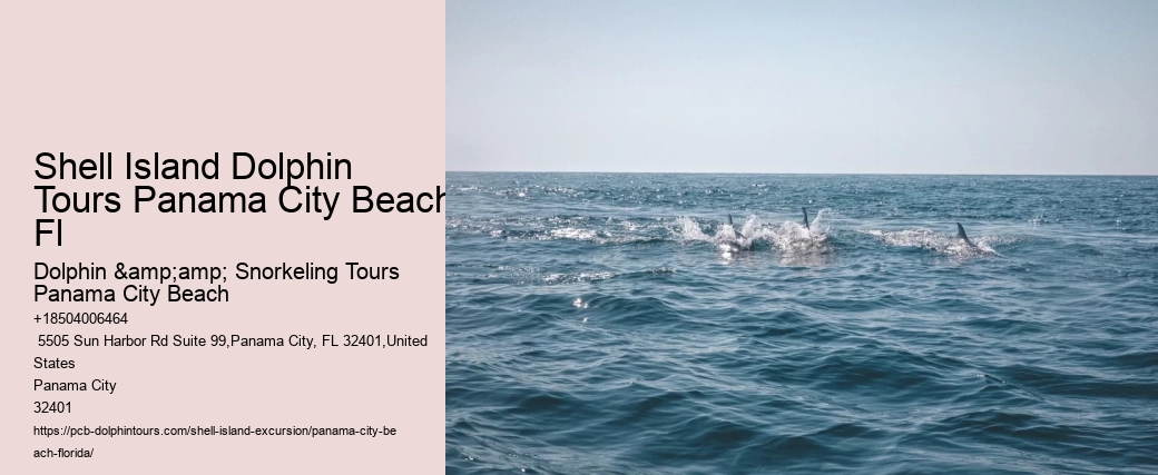  Panama City Pristine Shores Excursions