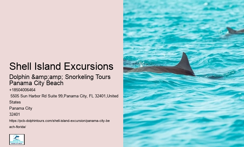  Play And Swim With A Dolphin In Panama City Beach