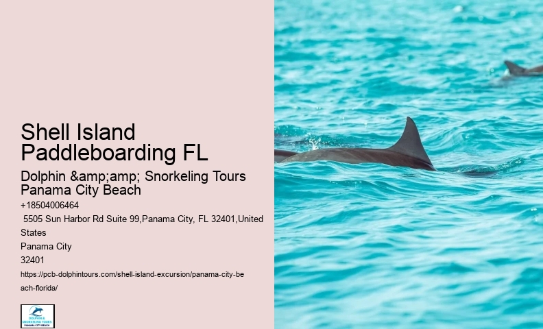  Shell Island Tranquil Oasis Excursions