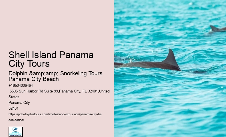  Shell Island Trips & Dolphin Tours