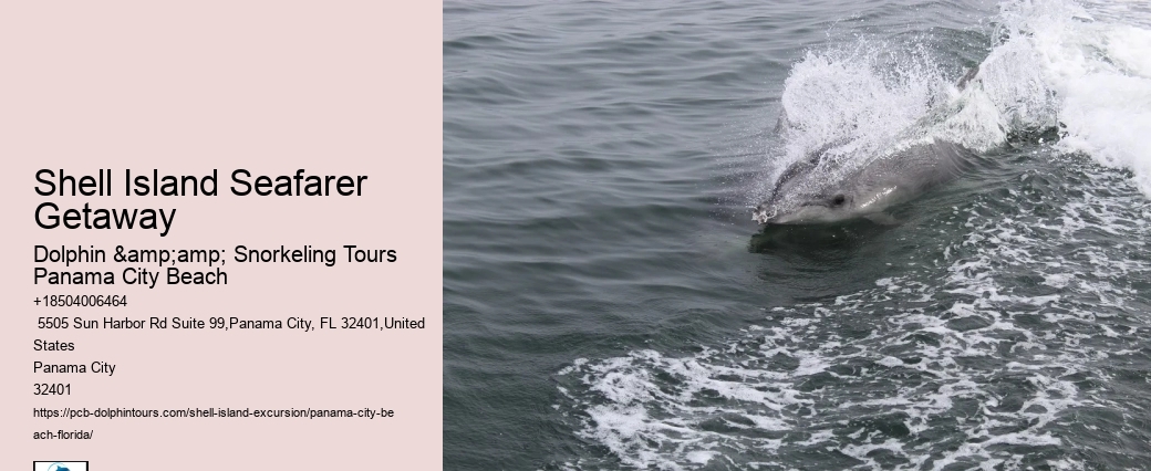  Snorkel Tours