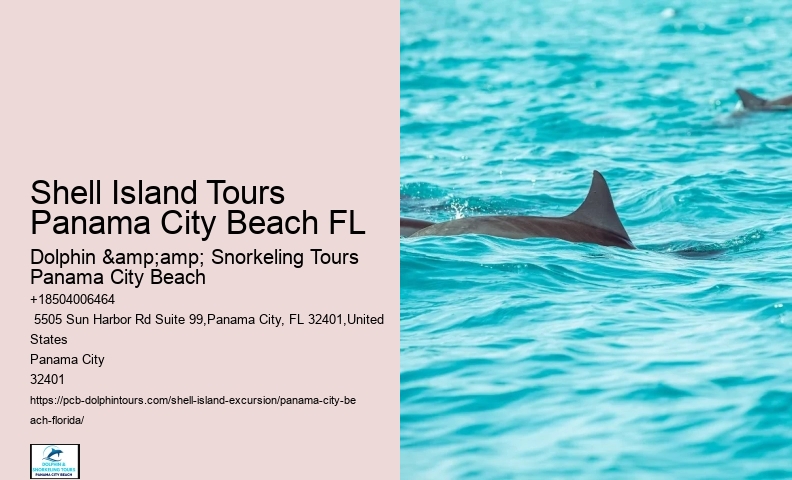  Oceanfront Shell Island Escapade