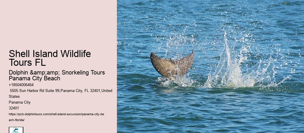  Island Excursions
