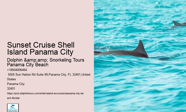 About Shell Island & Dolphins