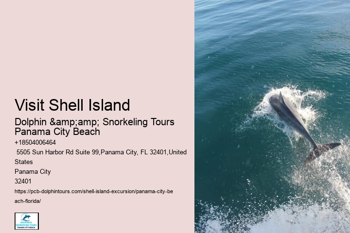  Is Shell Island Crowded