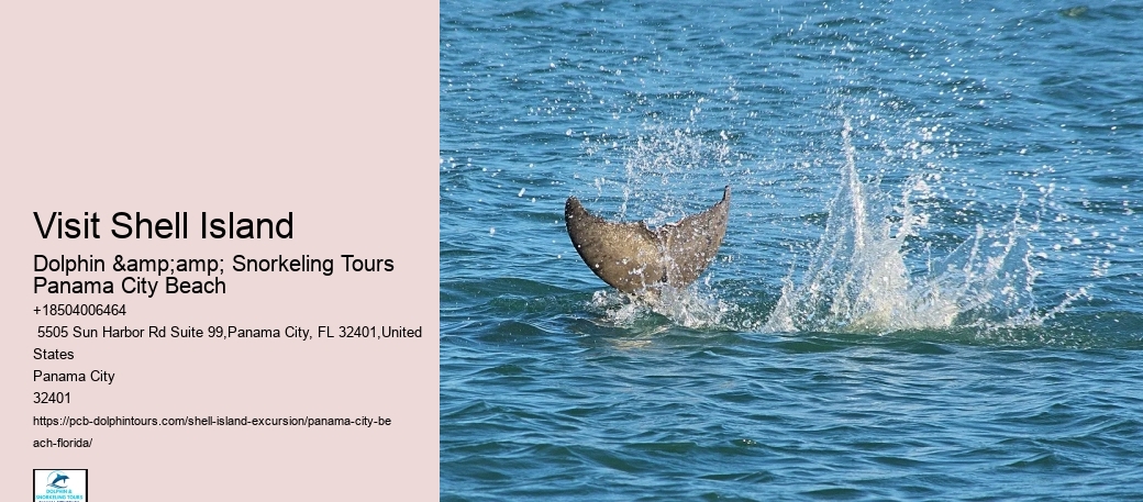  Shell Island Leisurely Boat Charters
