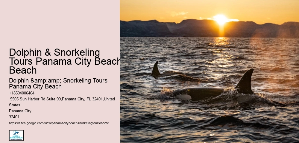 Panama City Beach Snorkeling Tours Ventures